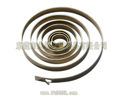 涡卷发条020 涡卷发条020